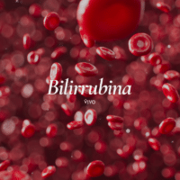 La bilirrubina es la proteína más prevalente en el plasma.