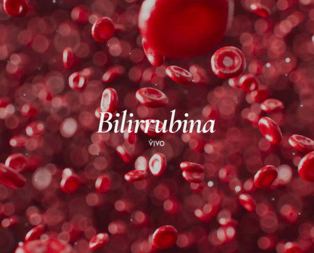 La bilirrubina es la proteína más prevalente en el plasma.