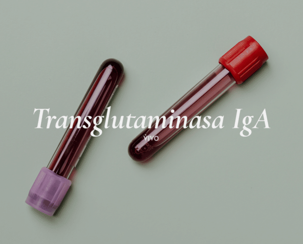 Transglutaminasa.