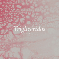 triglicéridos.