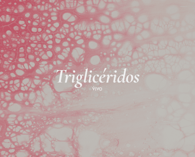 triglicéridos.