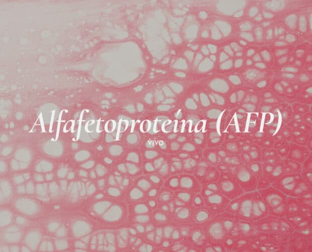 Alfafetoproteína.