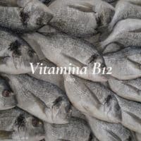 vitamina B12