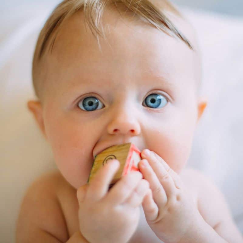 Estudios prenatales y de paternidad.