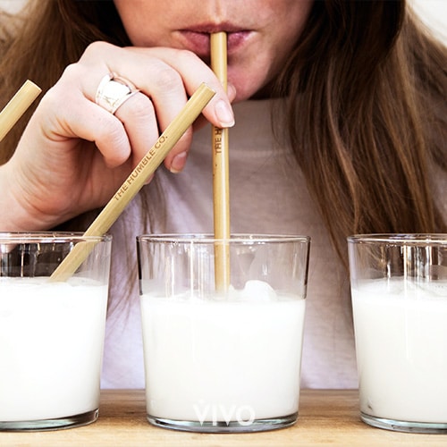 Las personas intolerantes a la lactosa no toleran bien los productos lácteos. 