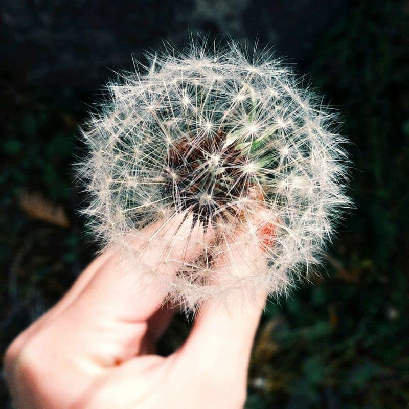 ¿Qué es la alergia y por qué te afecta?