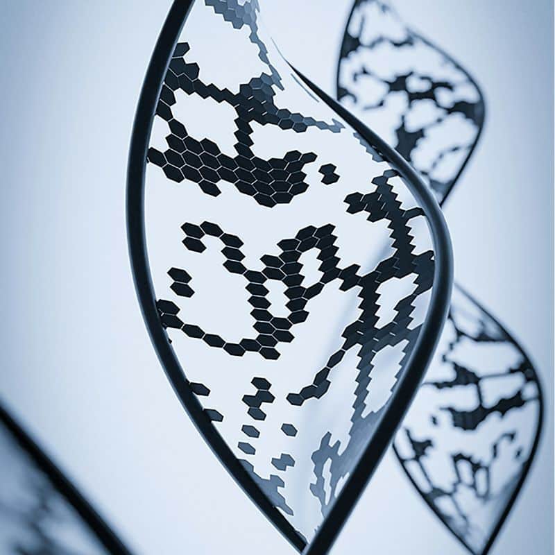 Compra tu prueba de ancestría, en VIVOLABS.
