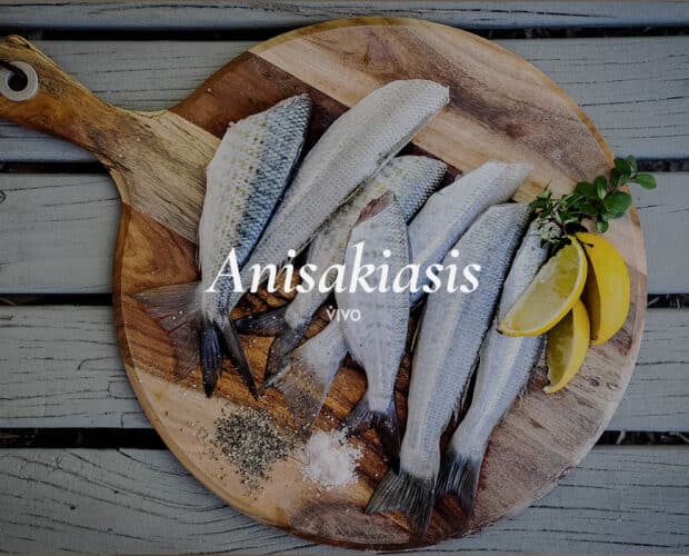 La anisakiasis se contrae tras el consumo de pescados crudos o mal cocinados.