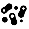 Microbiota