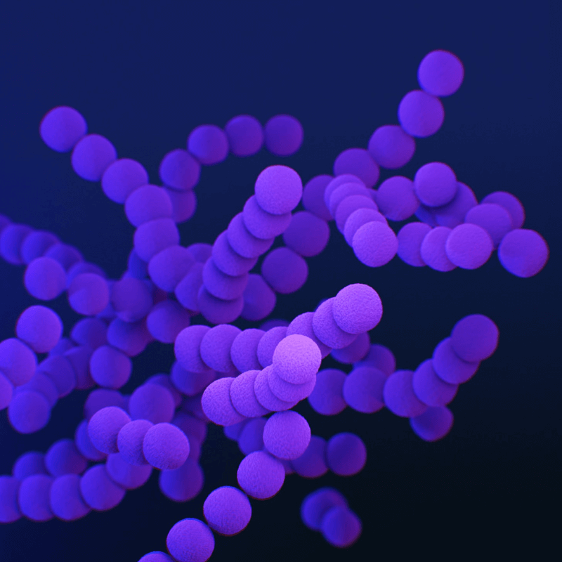 Un perfil básico de microbiota.