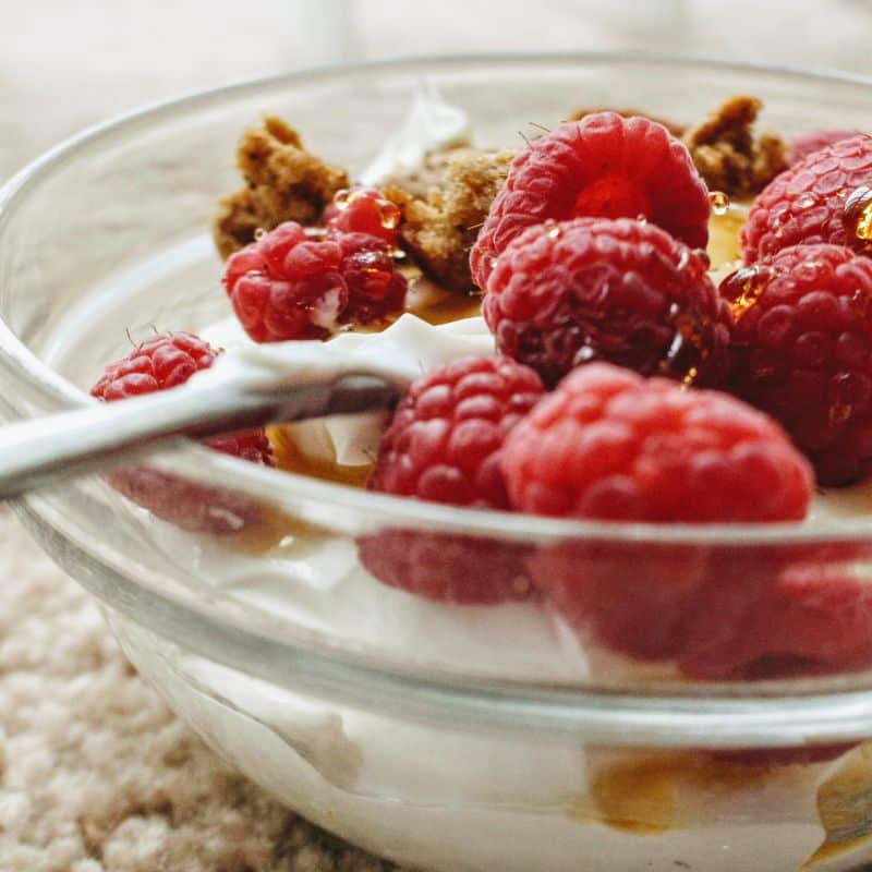 ¿Qué son los probióticos?