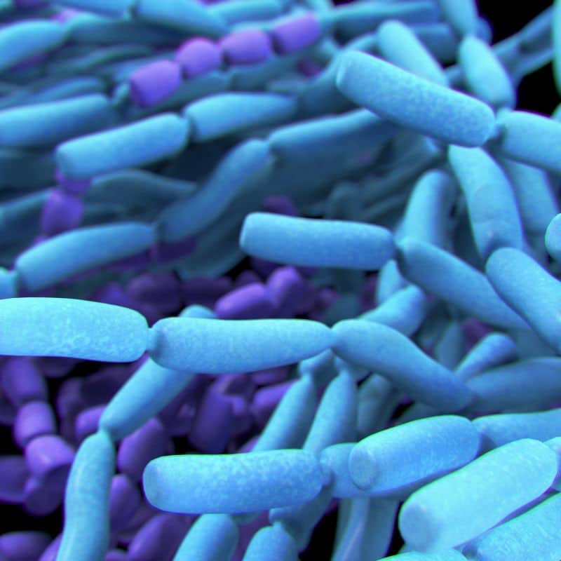 SIBO: causas, síntomas y tratamiento.