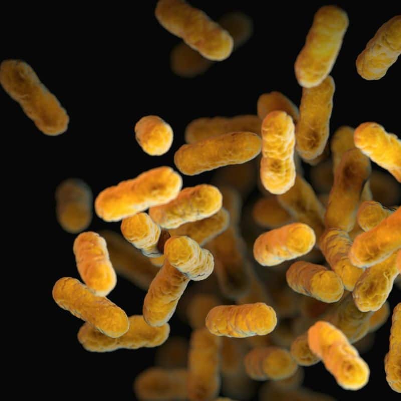 15 preguntas sobre la microbiota intestinal.