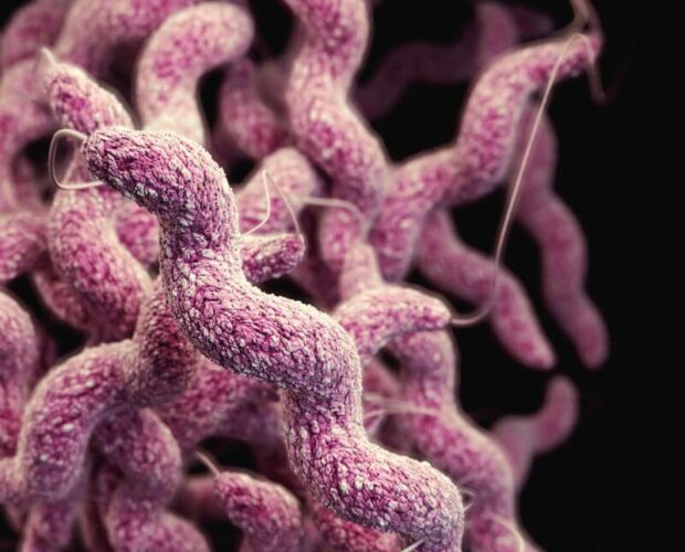 ¿Conoces las preguntas sobre la microbiota intestinal?