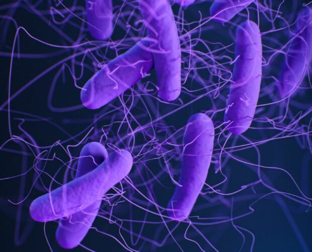 ¿Cuáles son las enfermedades comunes causadas por bacterias?