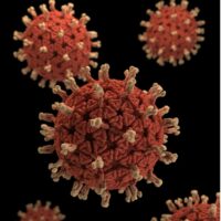 ¿Cuáles son las enfermedades causadas por virus?