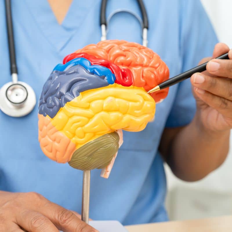 Enfermedad de Alzheimer: causas, síntomas y tratamiento.