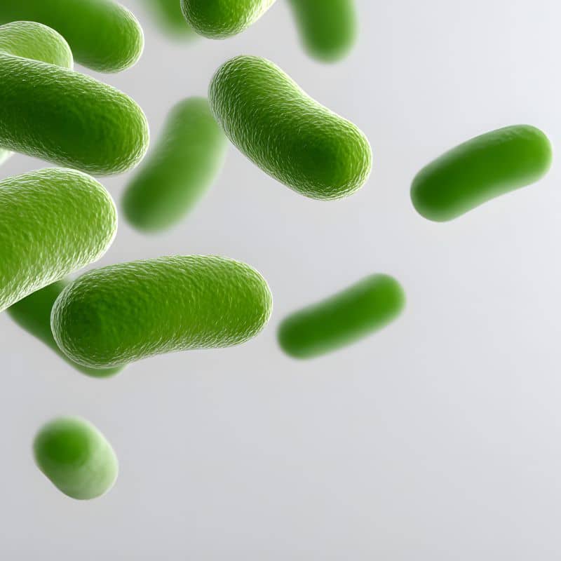 Microbiota y depresión: ¿están relacionados?