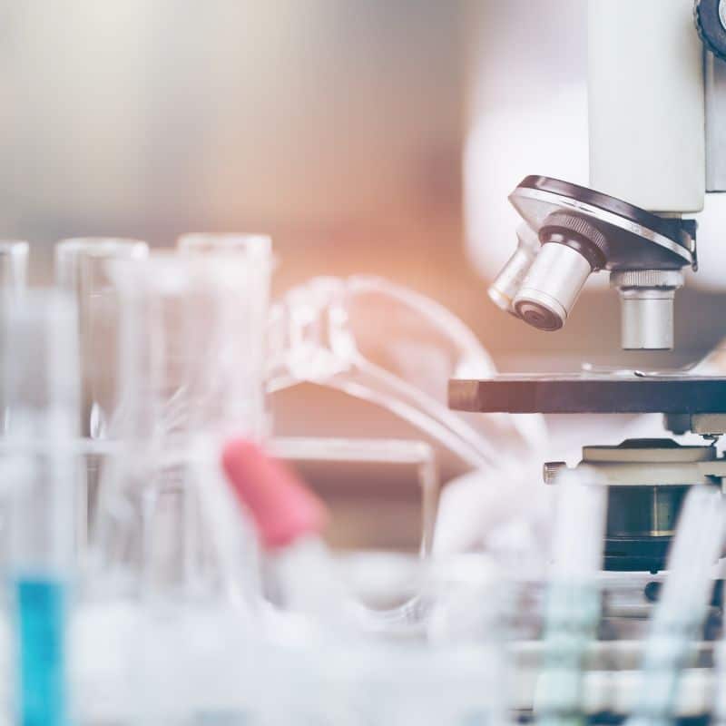 Sangre en heces: 7 posibles causas.