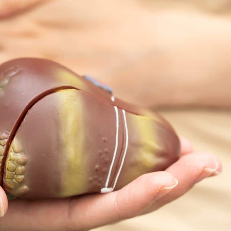 Hepatitis infantil: causas, síntomas y tratamiento.