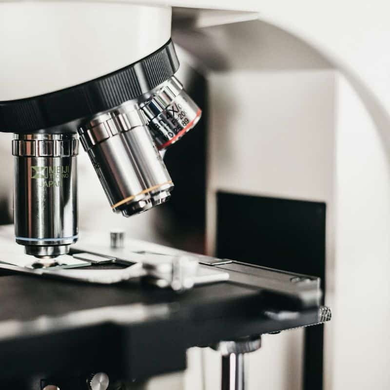 Campilobacteriosis: causas, síntomas y tratamiento.