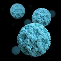 Infección por Norovirus: síntomas, causas y tratamiento.