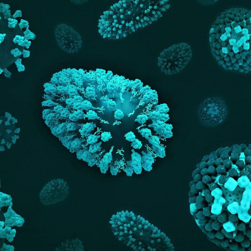 Infección por norovirus: causas, síntomas y tratamiento.