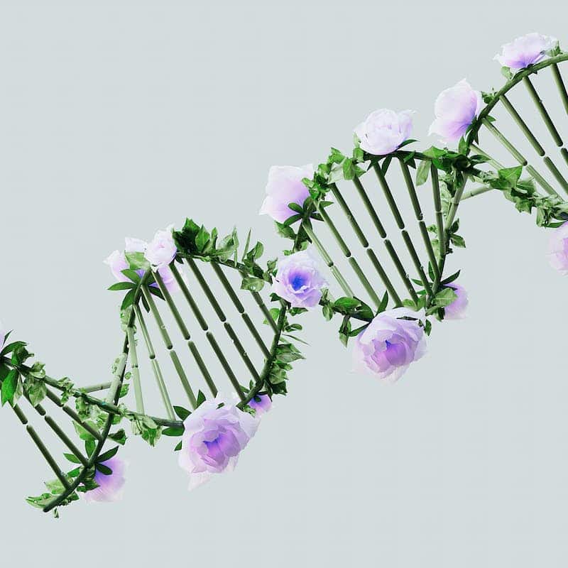 ¿Qué es la secuenciación del genoma completo y para qué sirve?