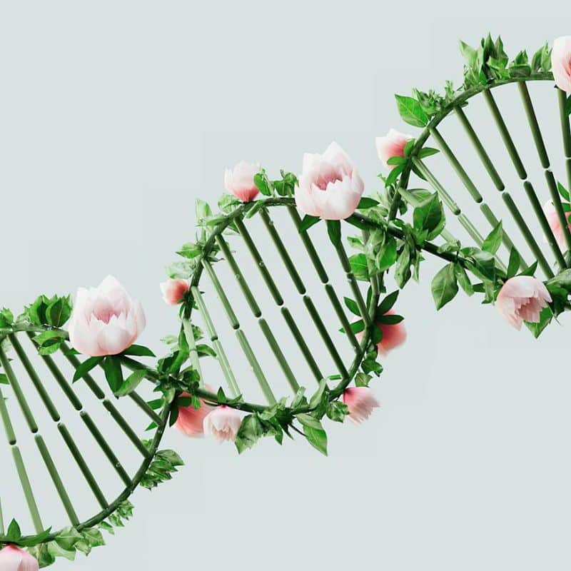 Puntuación de riesgo poligénico: ¿qué es?