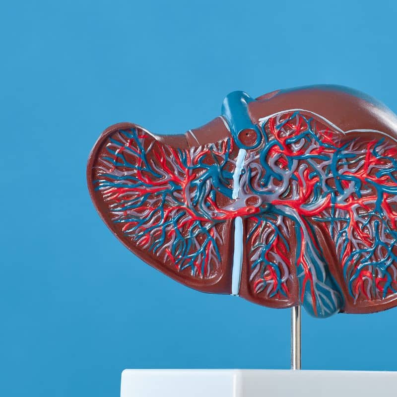 Tipos de hepatitis, y sus características.