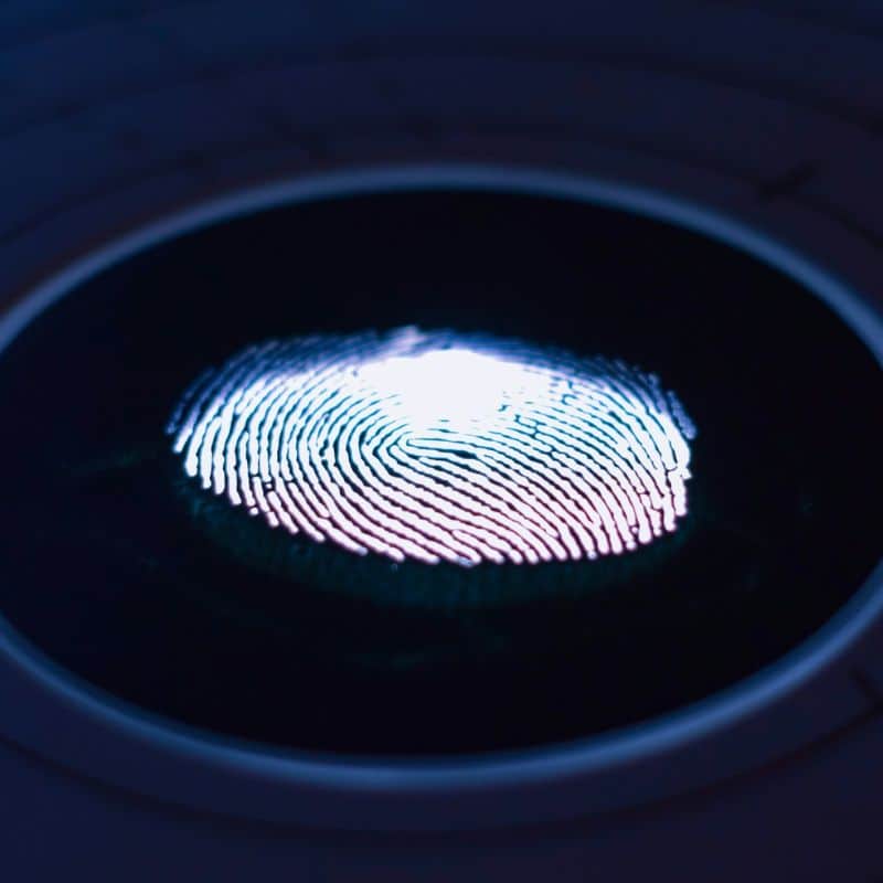 ¿Qué son los telómeros?