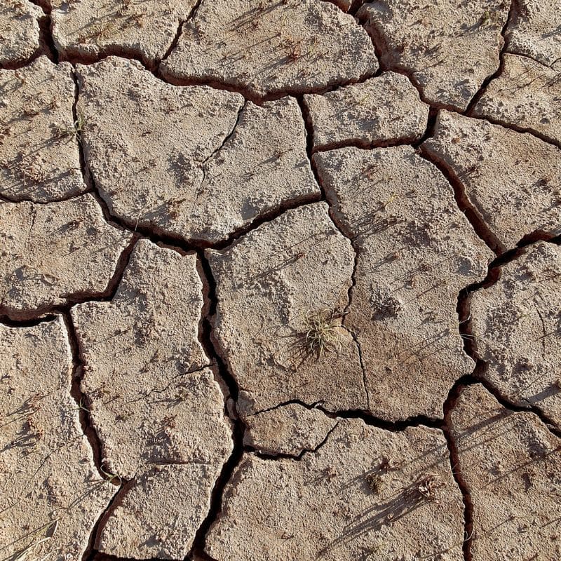 ¿Cuáles son los principales efectos del calor sobre el cuerpo?