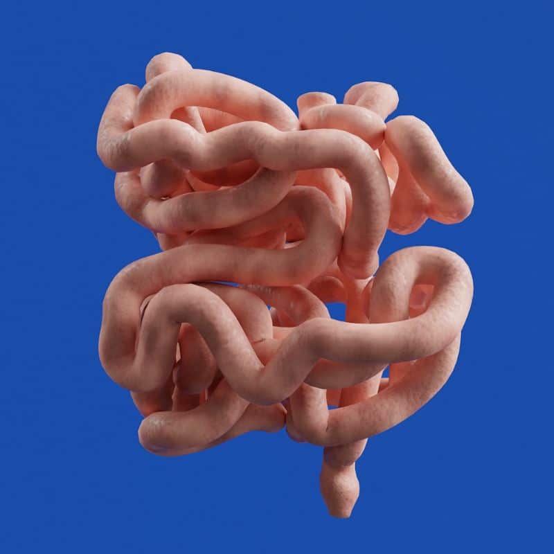 Gastroenteritis viral: causas, síntomas y tratamiento.
