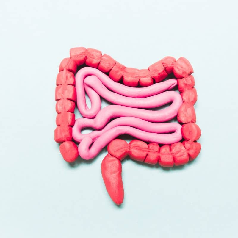 Intestino permeable: causas, síntomas y tratamiento.