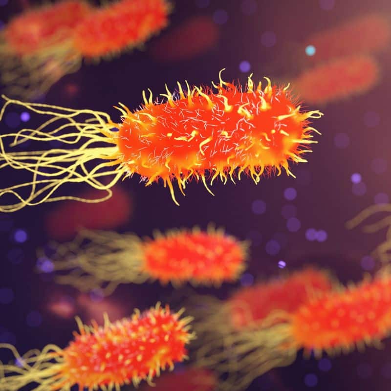 ¿Qué es la microbiota cutánea?