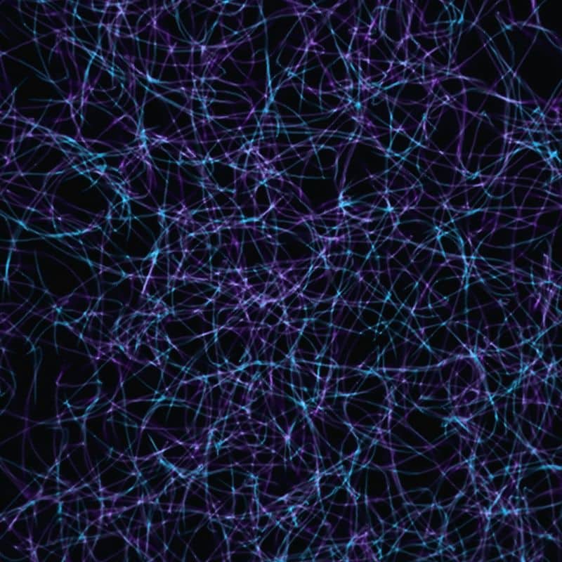 Enzima DAO: ¿qué es y en qué te afecta?