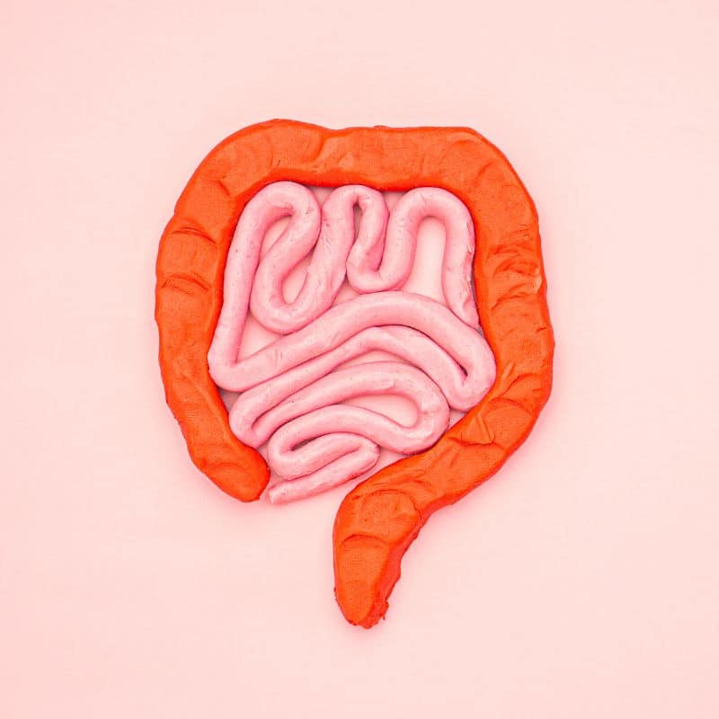 Inflamación intestinal: causas, síntomas y tratamiento.