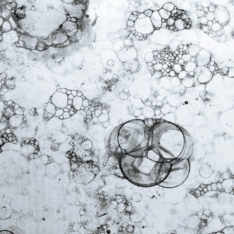 Testosterona: ¿qué es y cómo te afecta?