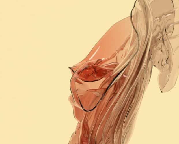 Fibrosis hepática: causas, síntomas y tratamiento.