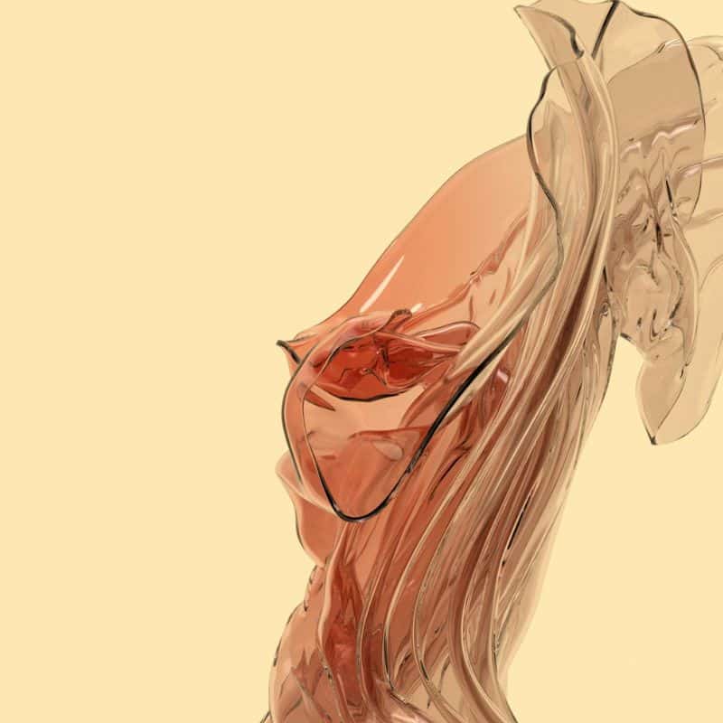 fibrosis-hepatica-causas-sintomas-tratamiento Fibrosis hepática: causas, síntomas y tratamiento.
