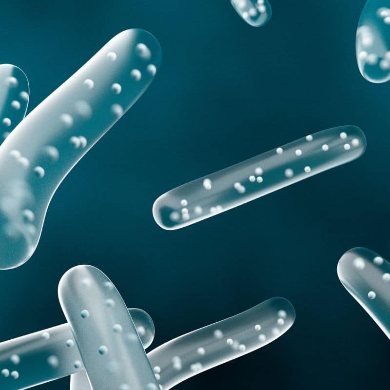 SIBO y DISBIOSIS intestinal, diferencias.