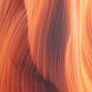 Comprar estudio de metales pesados en cabello, en VIVOLABS.