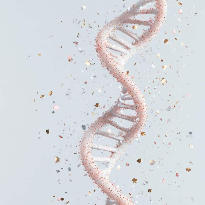 Descuento en todas nuestras pruebas.