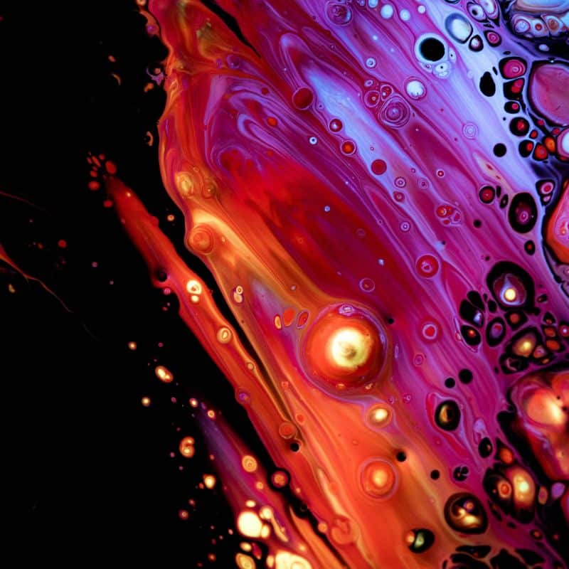 Estudio Genético de Trombofilia - Completo