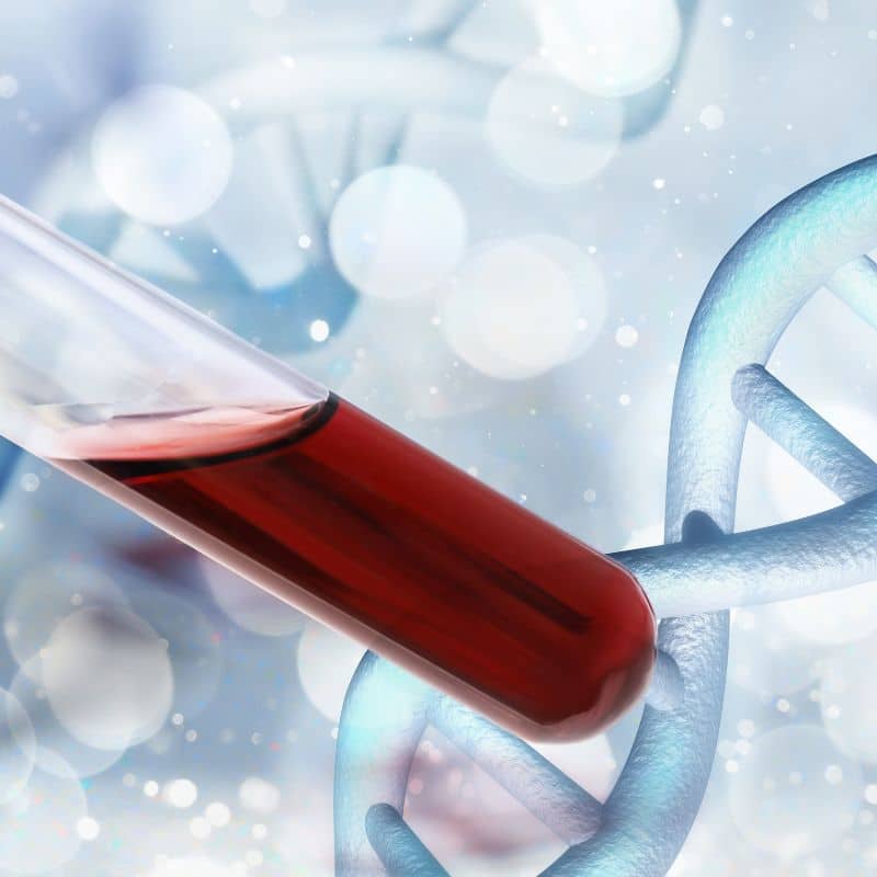 Análisis de sangre para la detección de celiaquía.