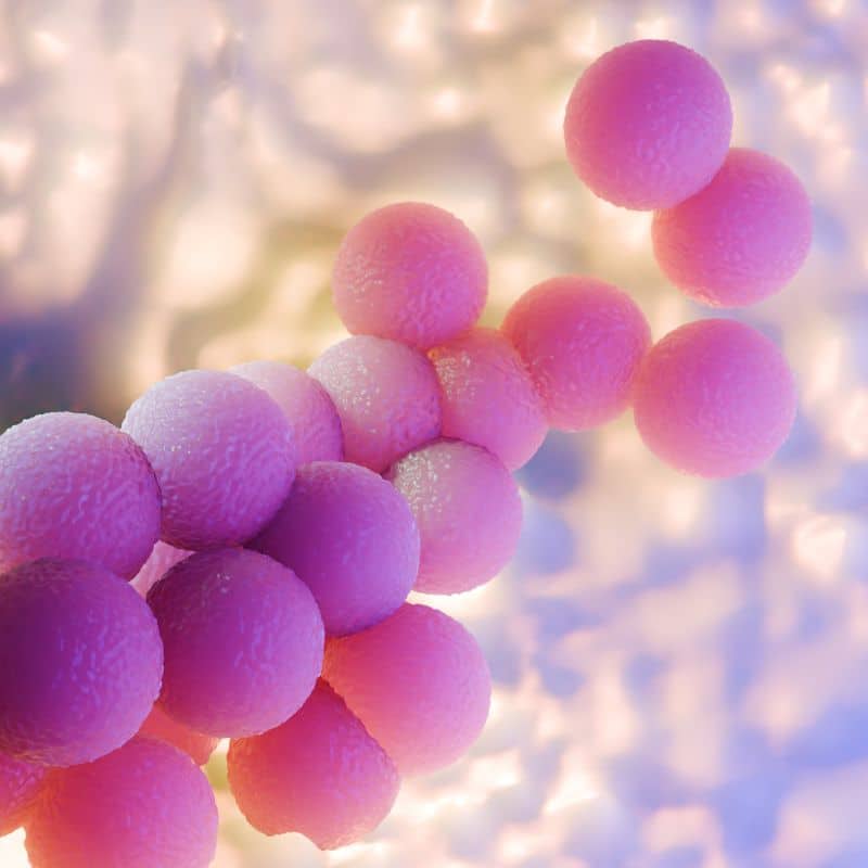 Comprender la disbiosis bacteriana y sus efectos es esencial.