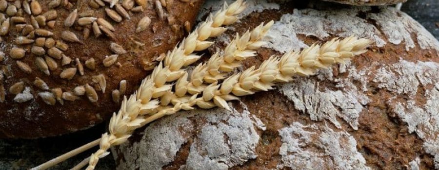 Compra tu estudio completo de enfermedad celiaca, incluyendo genética y anticuerpos.