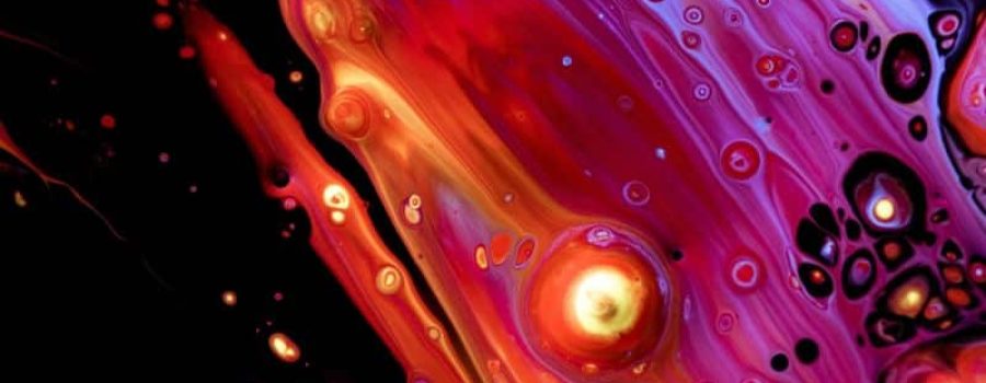 Estudio genético de trombofilia, en VIVOLABS.