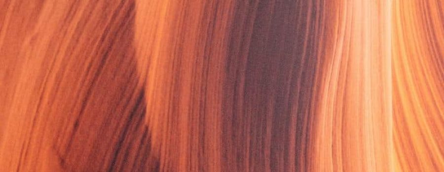 Comprar estudio de metales pesados en cabello, en VIVOLABS.
