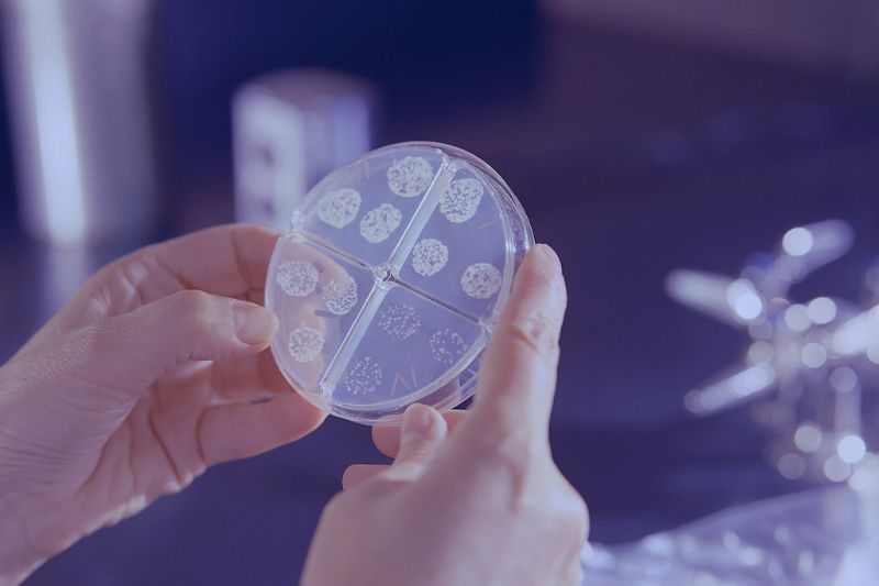 microbiota-vivolabs-empresas.jpg